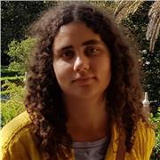 Clases de Historia del Arte y Teoría del Arte